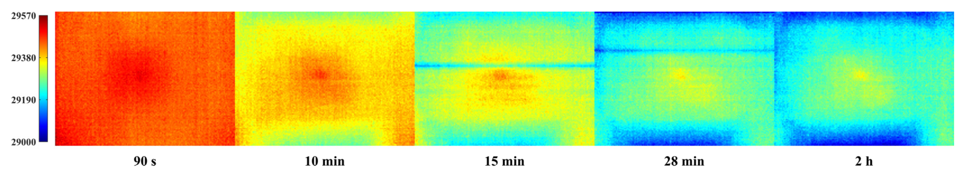 Drones 06 00394 g012