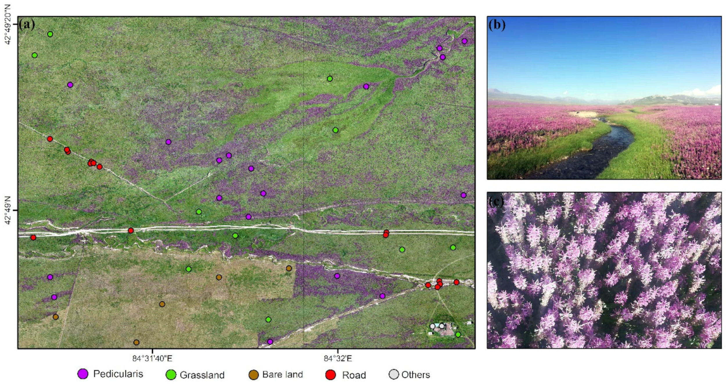 Drones 06 00399 g002