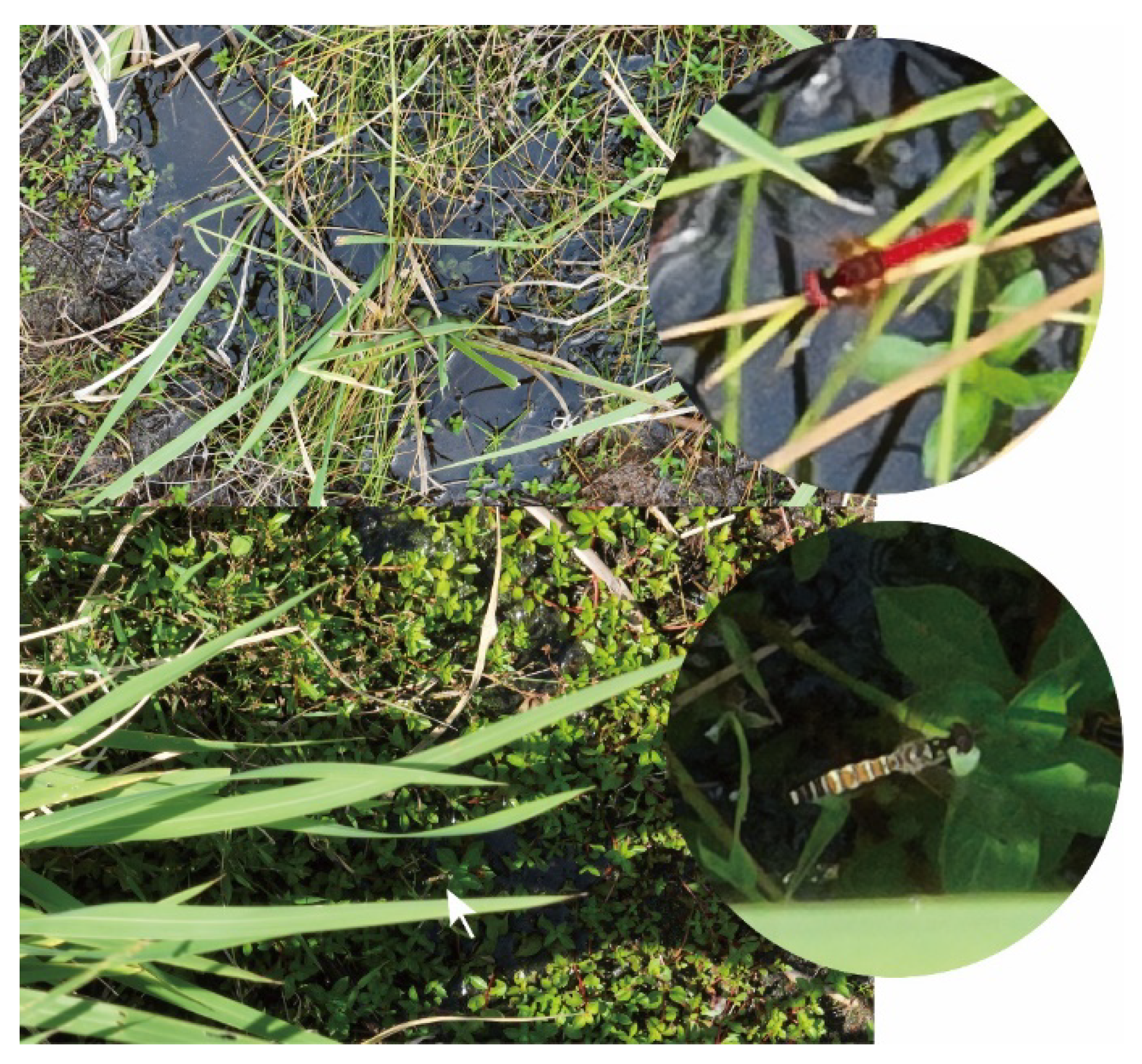 Drones 06 00427 g004 Drones 06 00427 g004