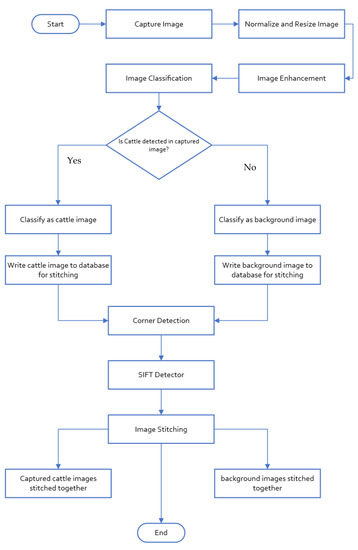 Drones | Free Full-Text | SIFT-CNN Pipeline in Livestock Management: A ...
