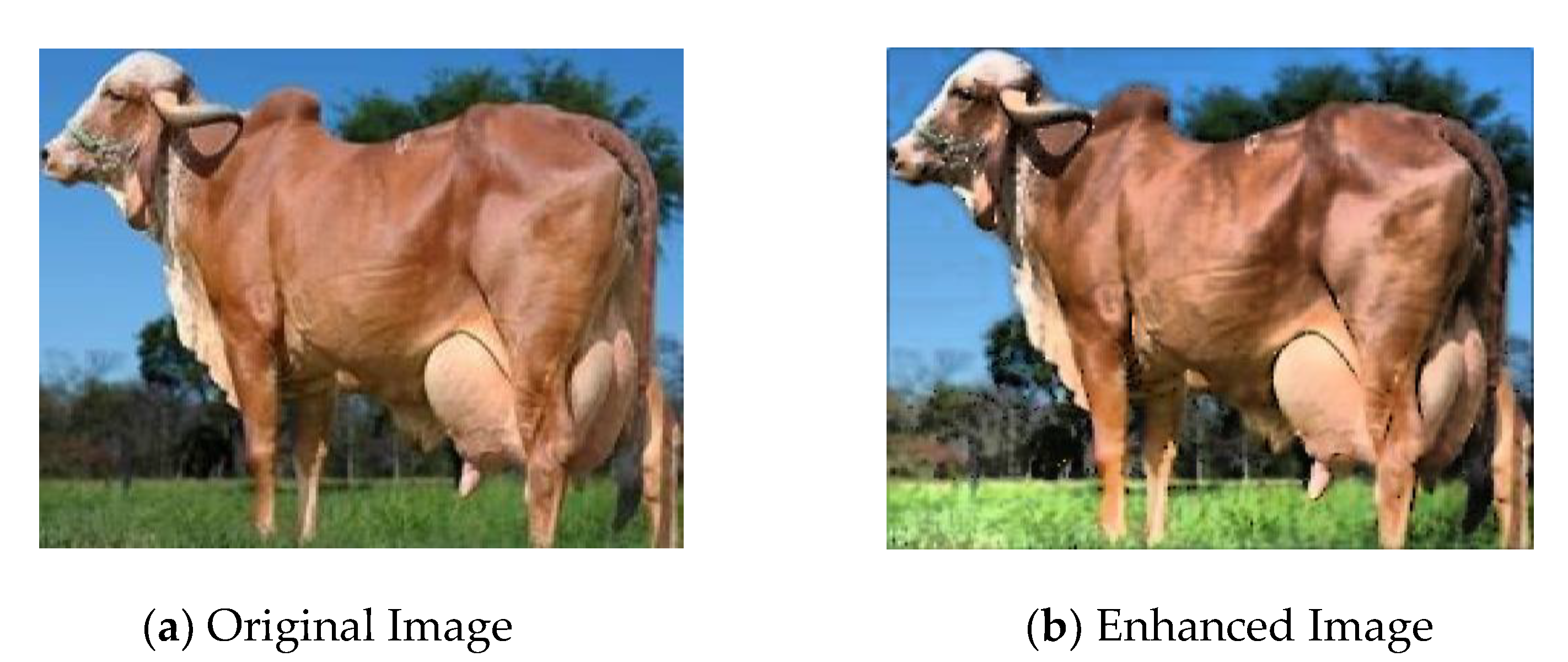 Drones 07 00017 g006 Drones 07 00017 g006