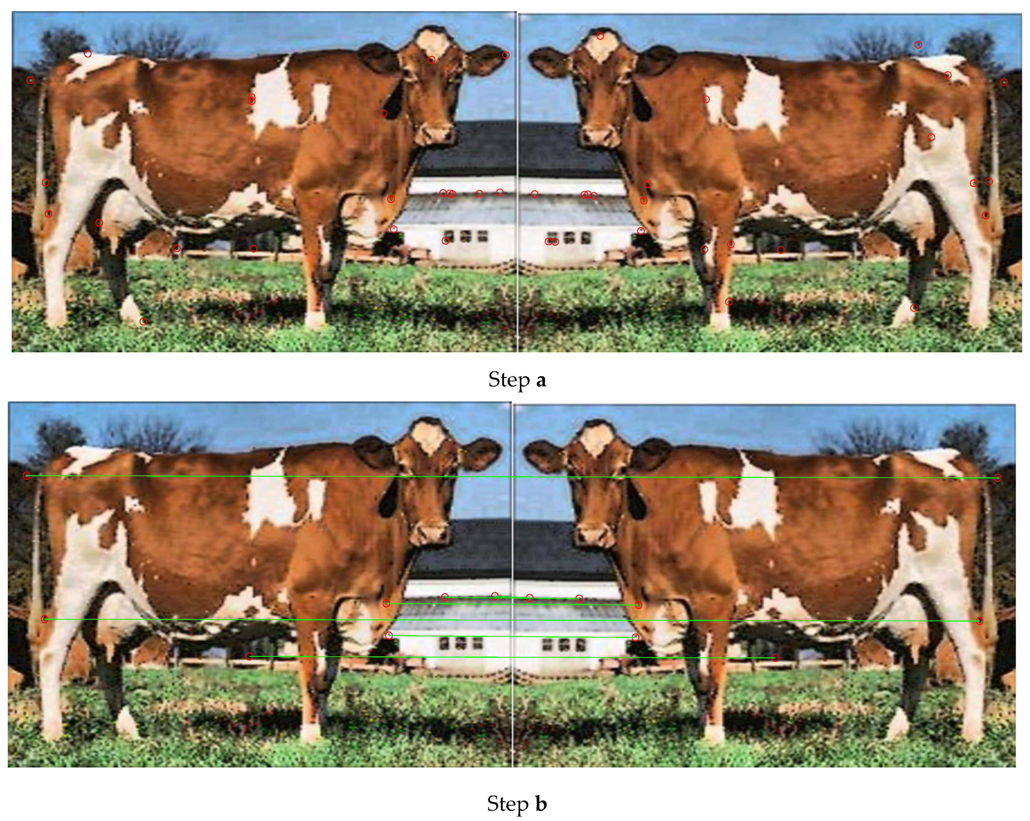 Drones 07 00017 g010a Drones 07 00017 g010a