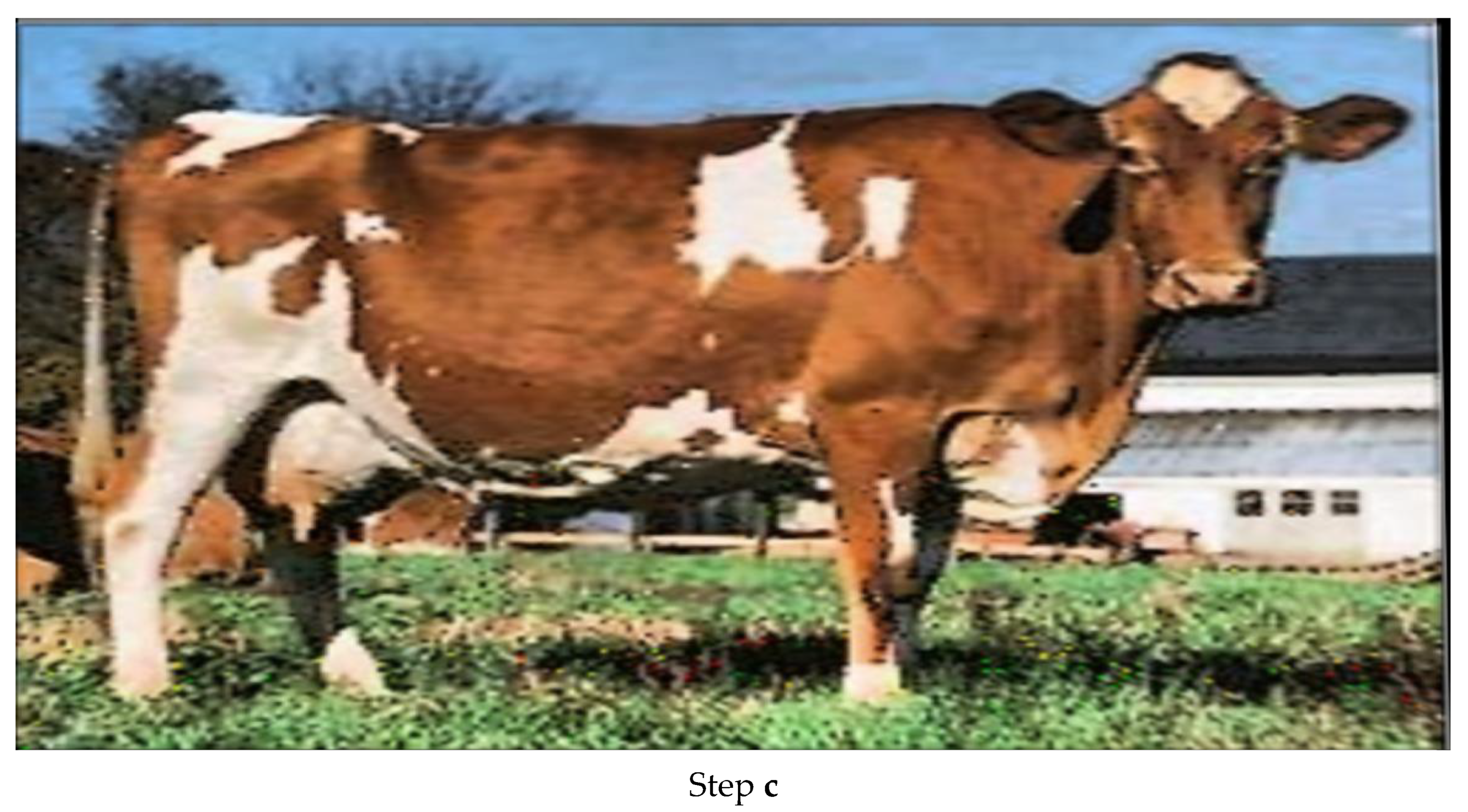 Drones 07 00017 g010b Drones 07 00017 g010b