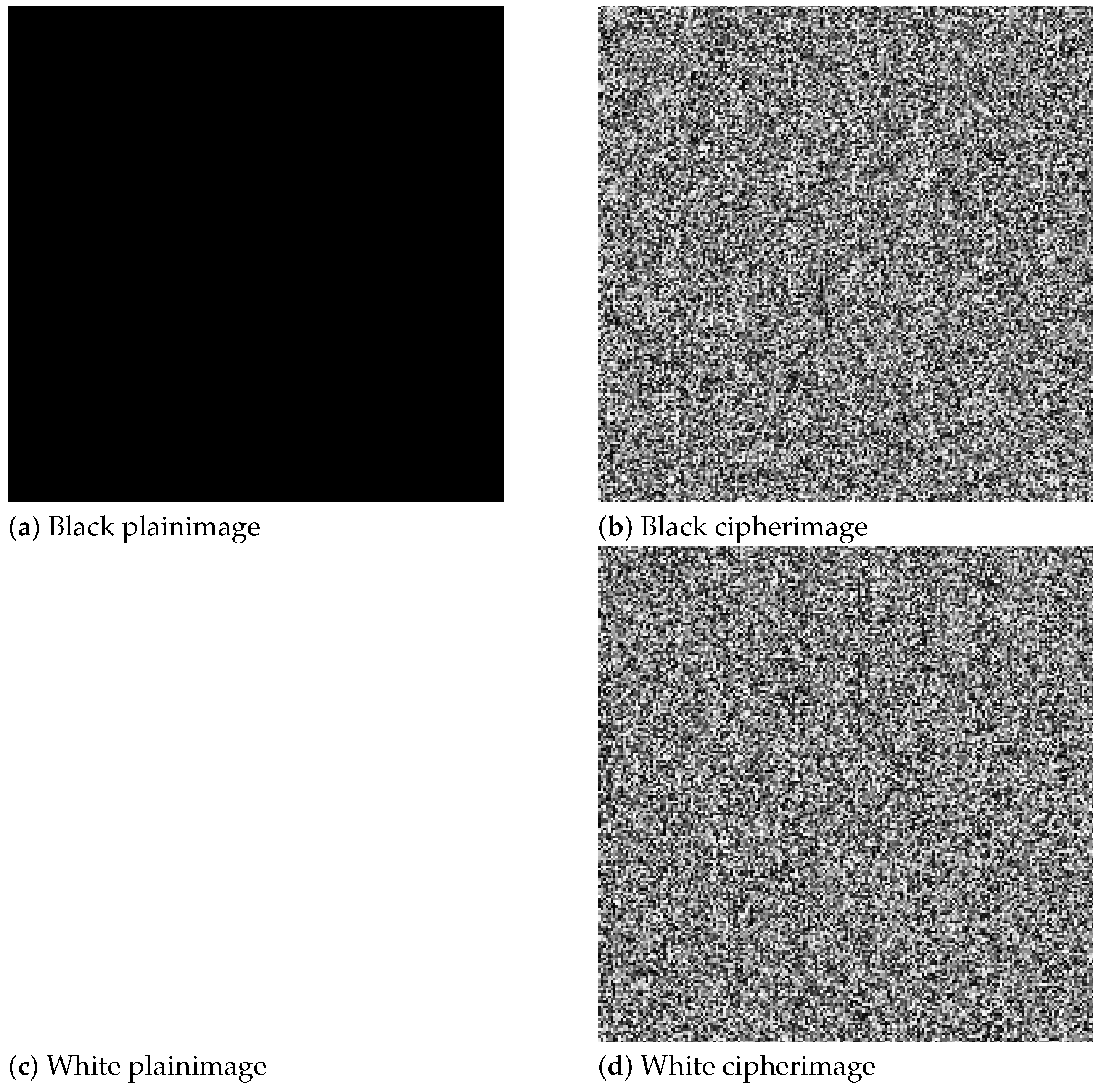 Drones | Free Full-Text | A New Image Encryption Algorithm Based on DNA ...