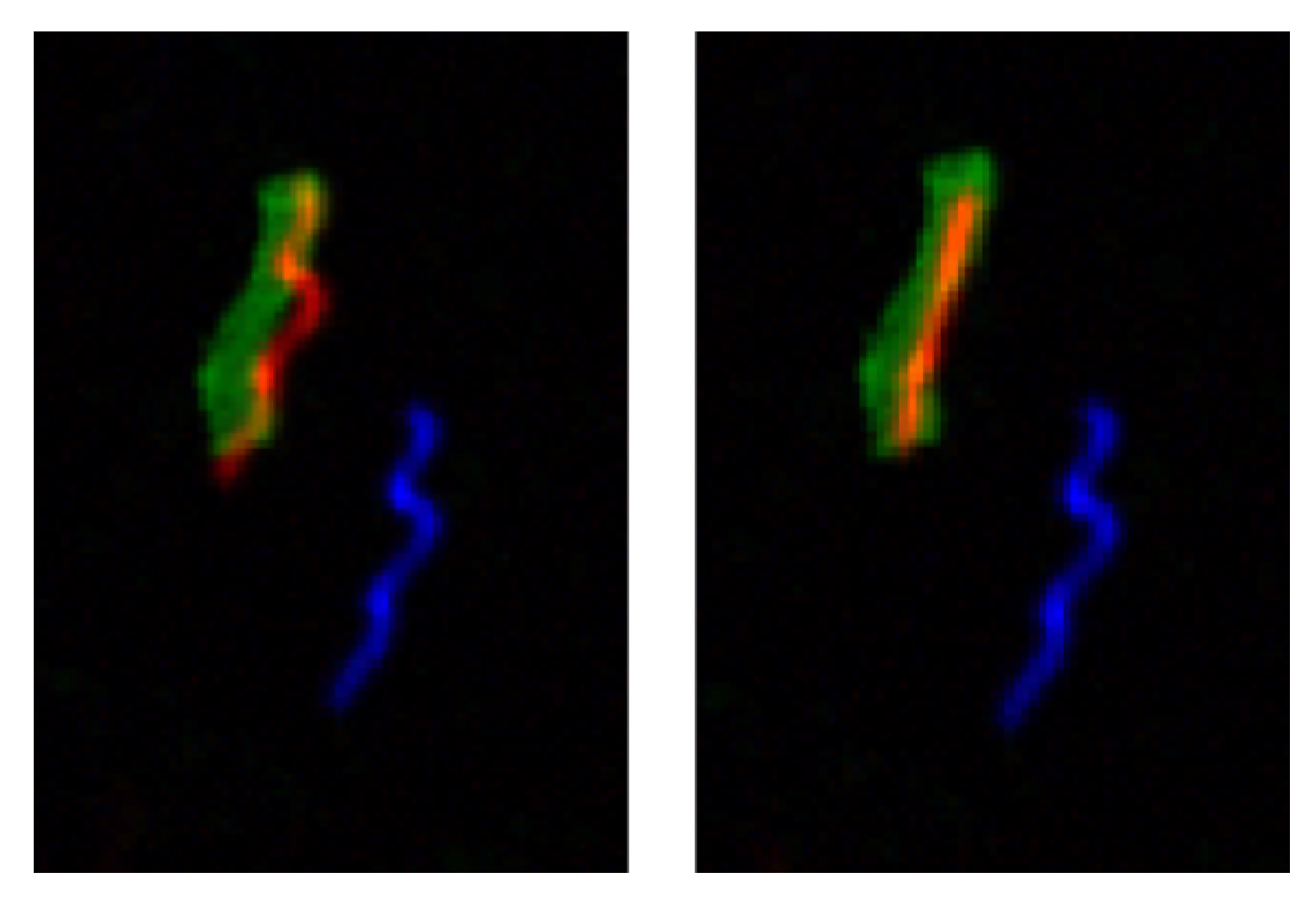 Drones 07 00052 g003 Drones 07 00052 g003