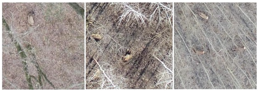 Drones 07 00179 g005