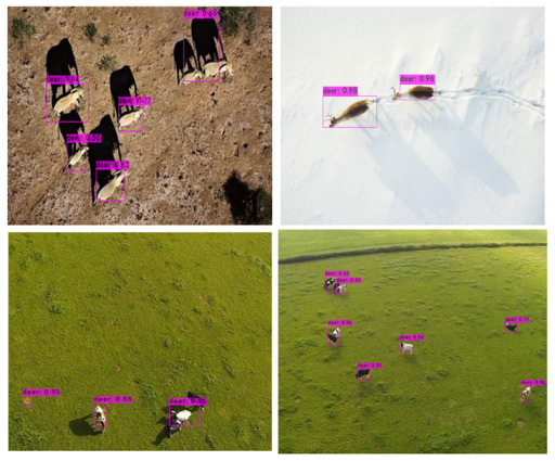 Animal Detection and Counting from UAV Images Using Convolutional ...