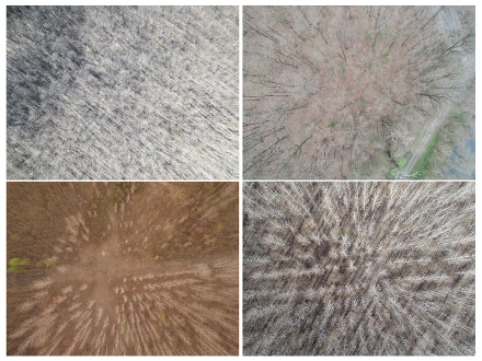 Drones 07 00179 g023