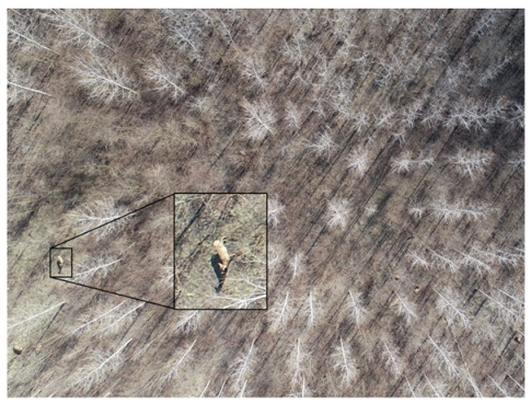 Drones 07 00179 g025