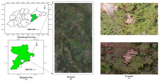 Deep Learning-Based Pine Nematode Trees’ Identification Using ...