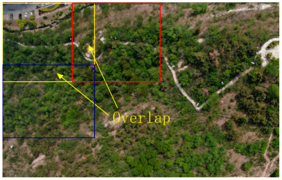 Deep Learning-Based Pine Nematode Trees’ Identification Using ...