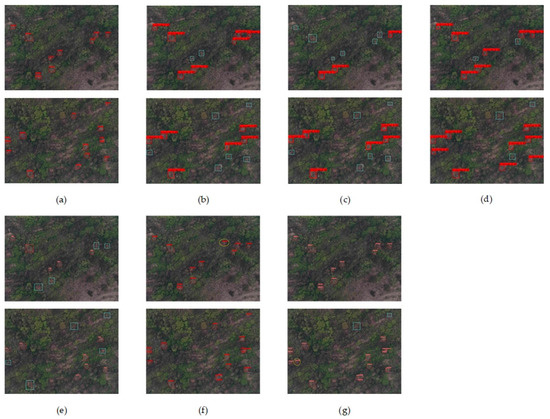 Deep Learning-Based Pine Nematode Trees’ Identification Using ...