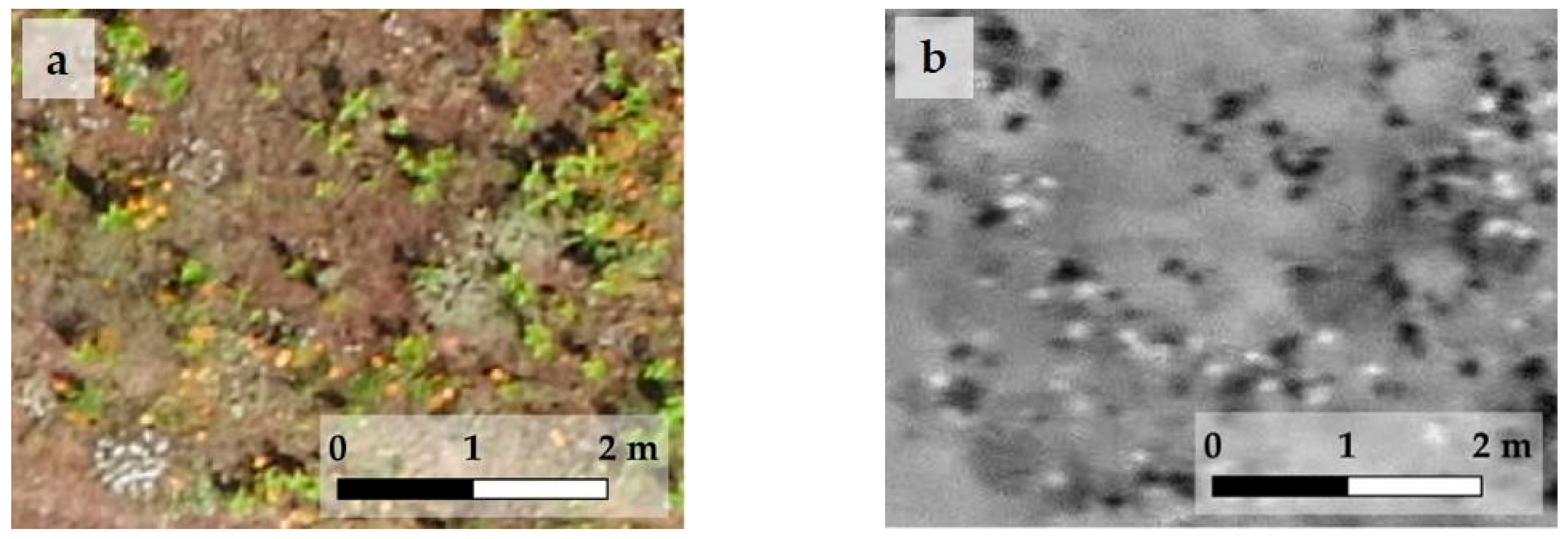 Drones 07 00207 g005 Drones 07 00207 g005