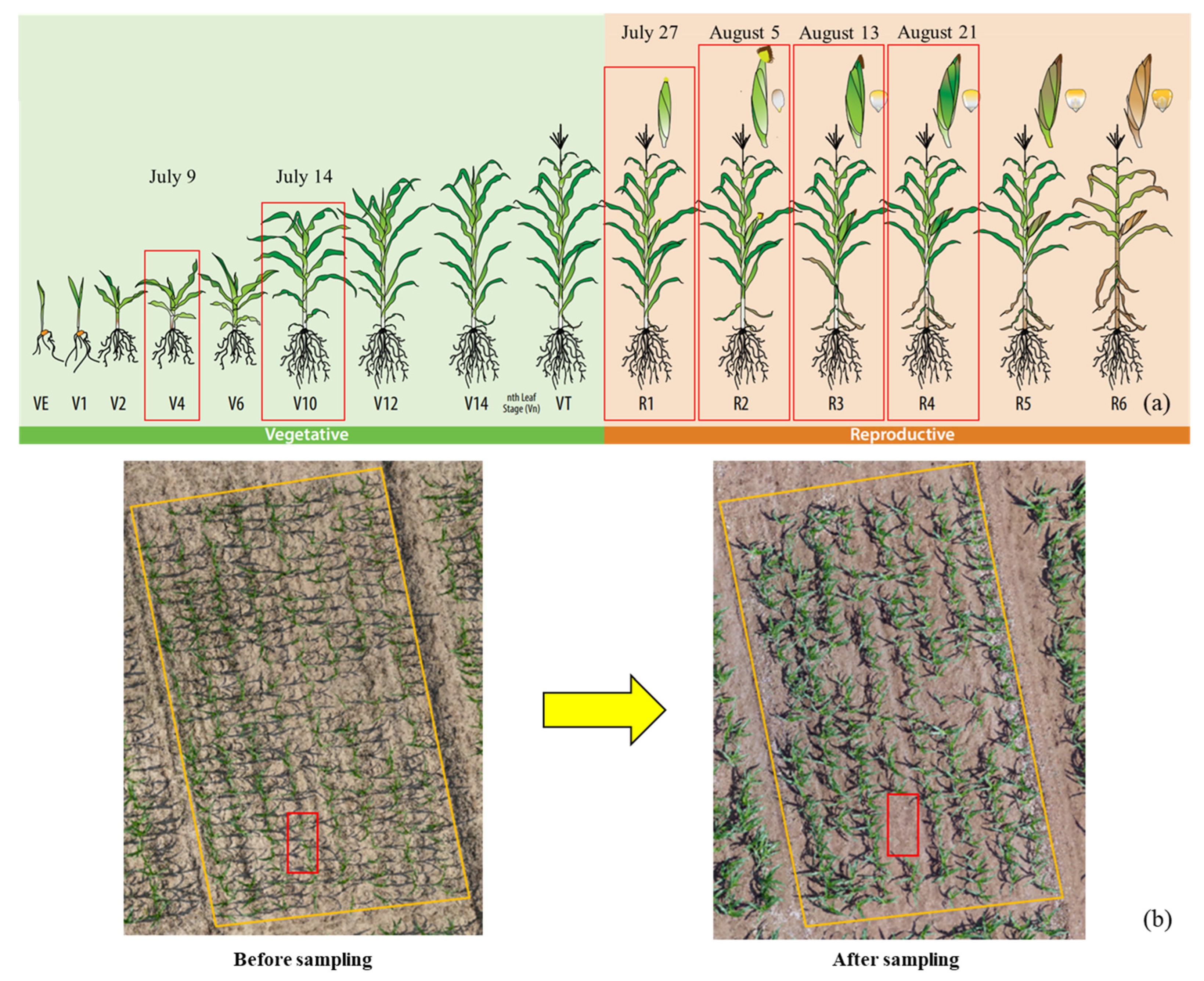 Drones 07 00254 g003 Drones 07 00254 g003