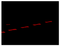 Drones 07 00274 i021