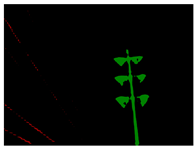 Drones 07 00274 i030