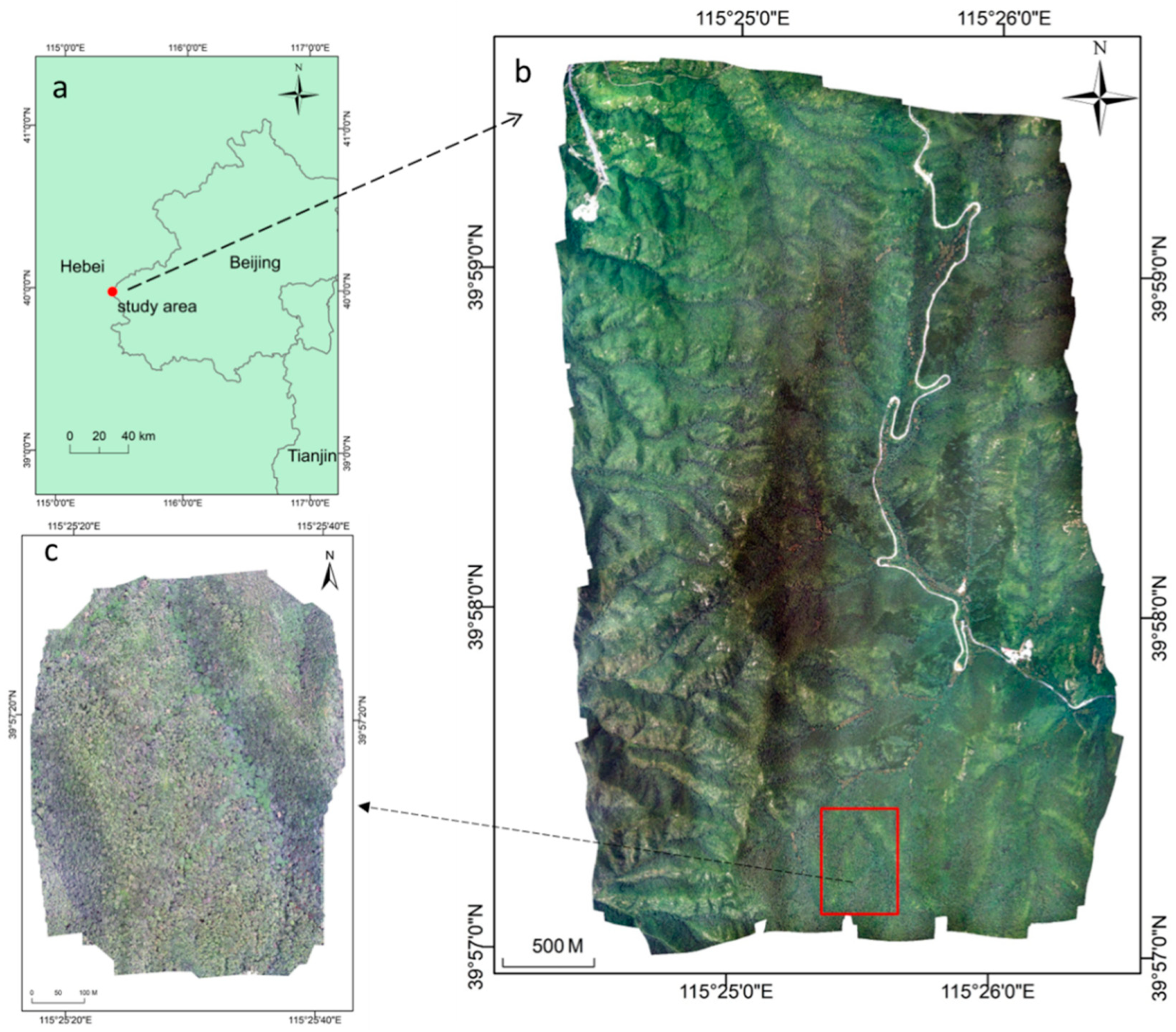 Drones 07 00353 g001 Drones 07 00353 g001