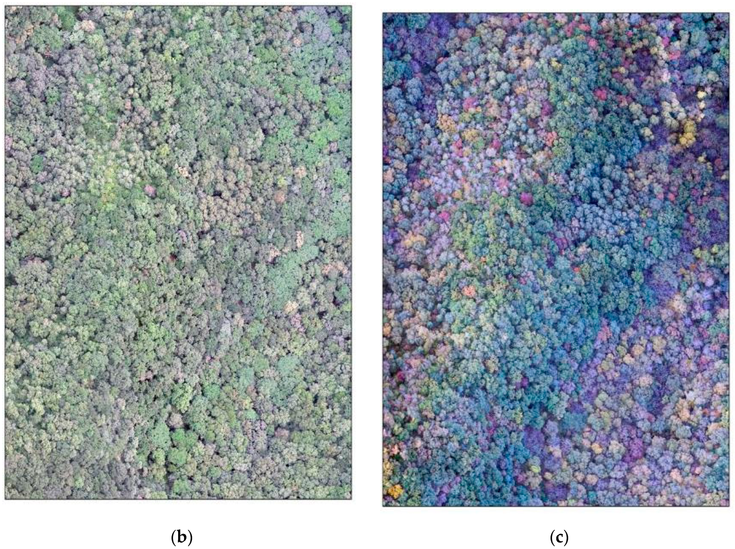 Drones 07 00353 g003b Drones 07 00353 g003b