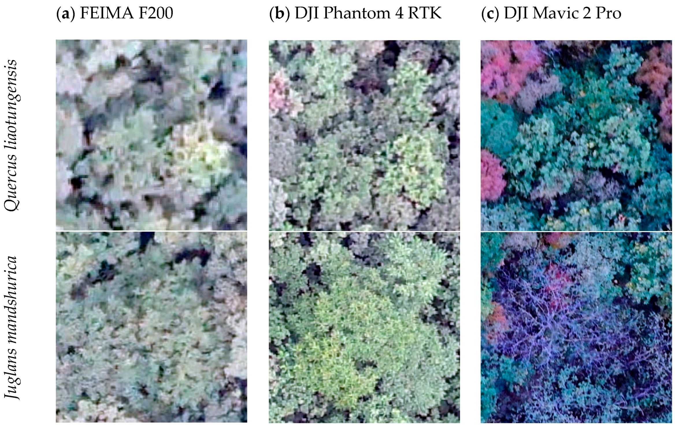 Drones 07 00353 g004 Drones 07 00353 g004