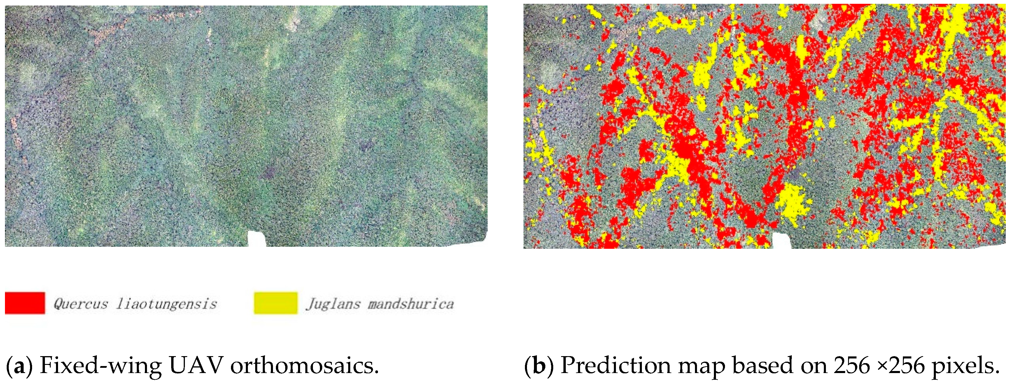 Drones 07 00353 g007 Drones 07 00353 g007