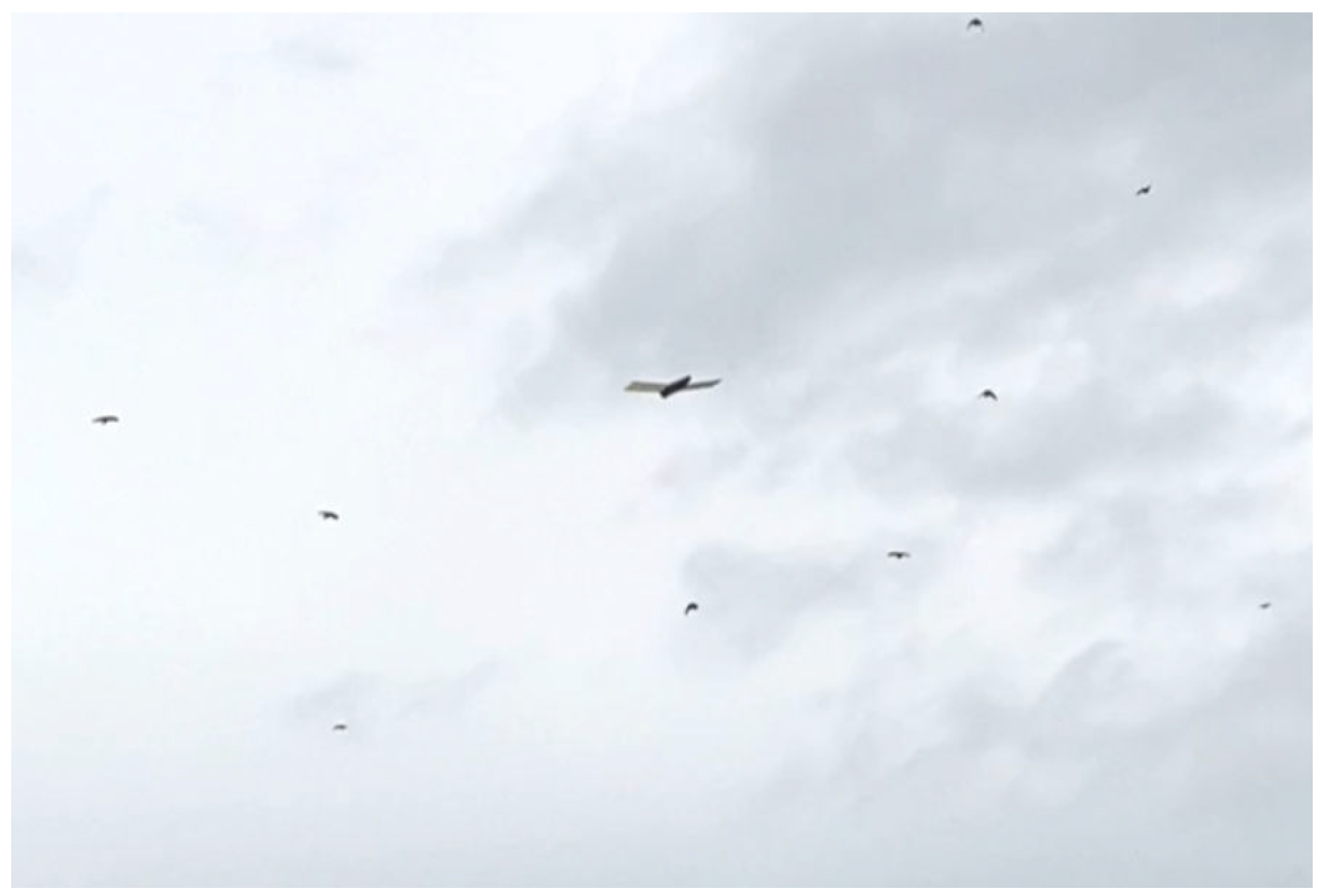 Drones 07 00379 g032 Drones 07 00379 g032