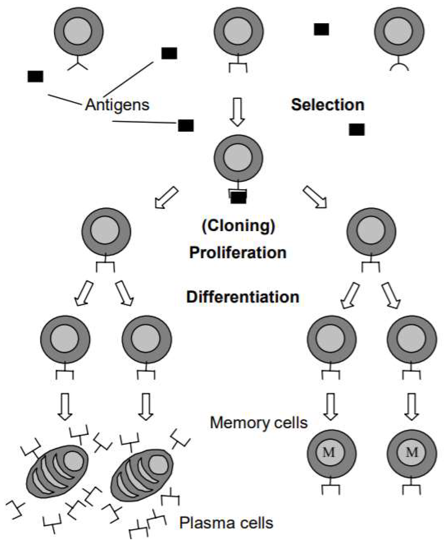 Drones 07 00427 g018