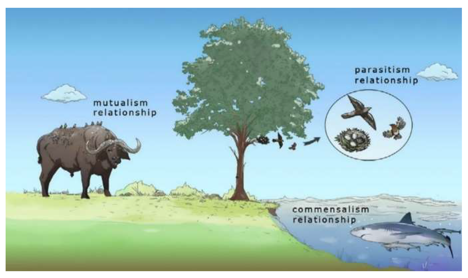 Drones 07 00427 g022