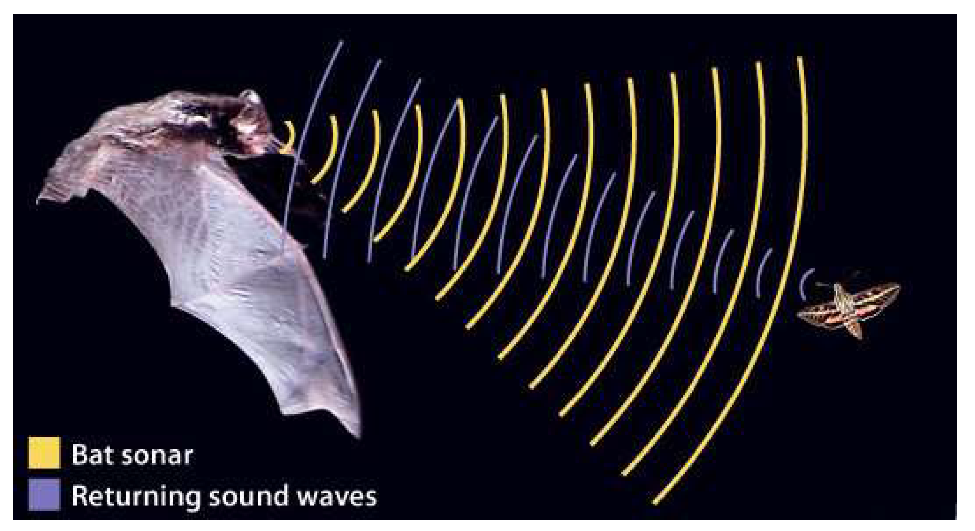 Drones 07 00427 g035