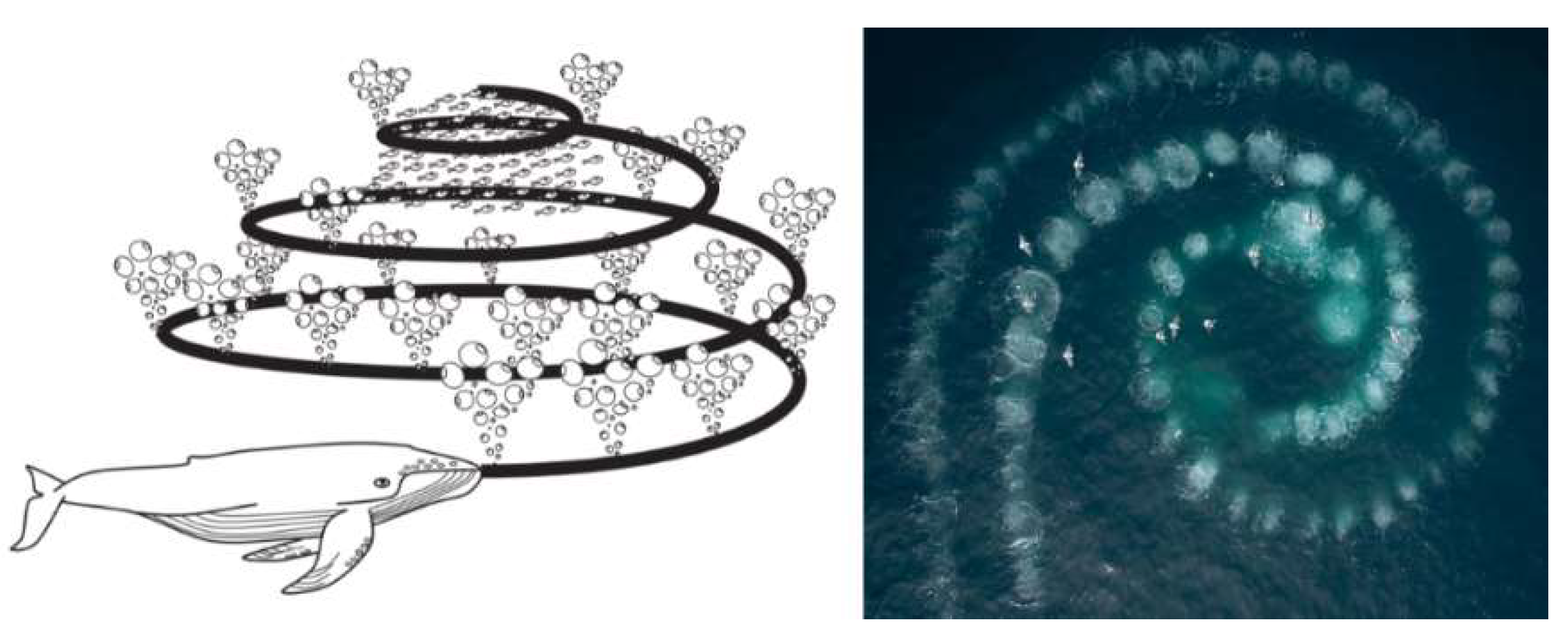 Drones 07 00427 g037