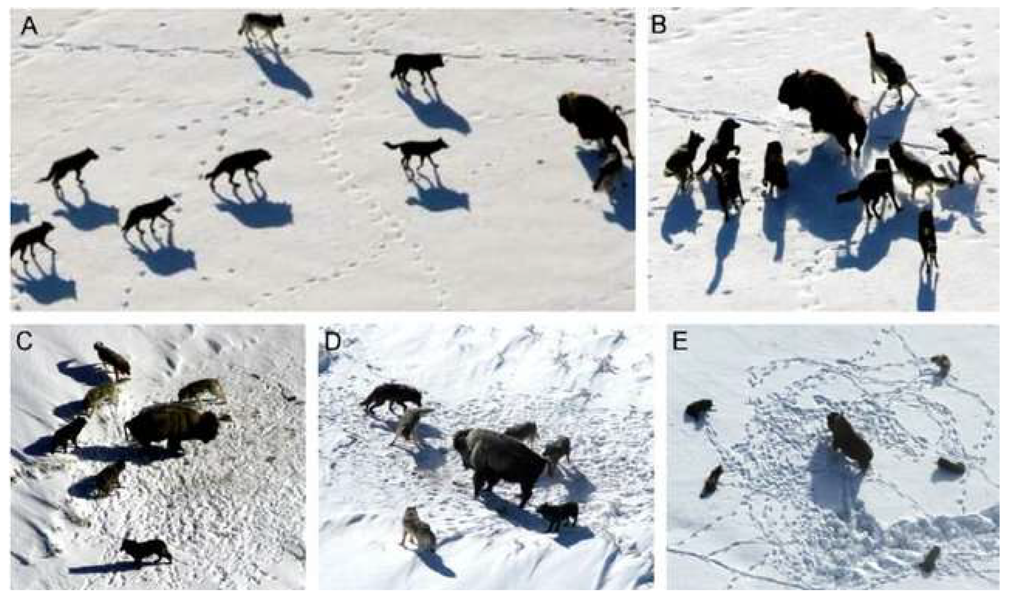 Drones 07 00427 g043