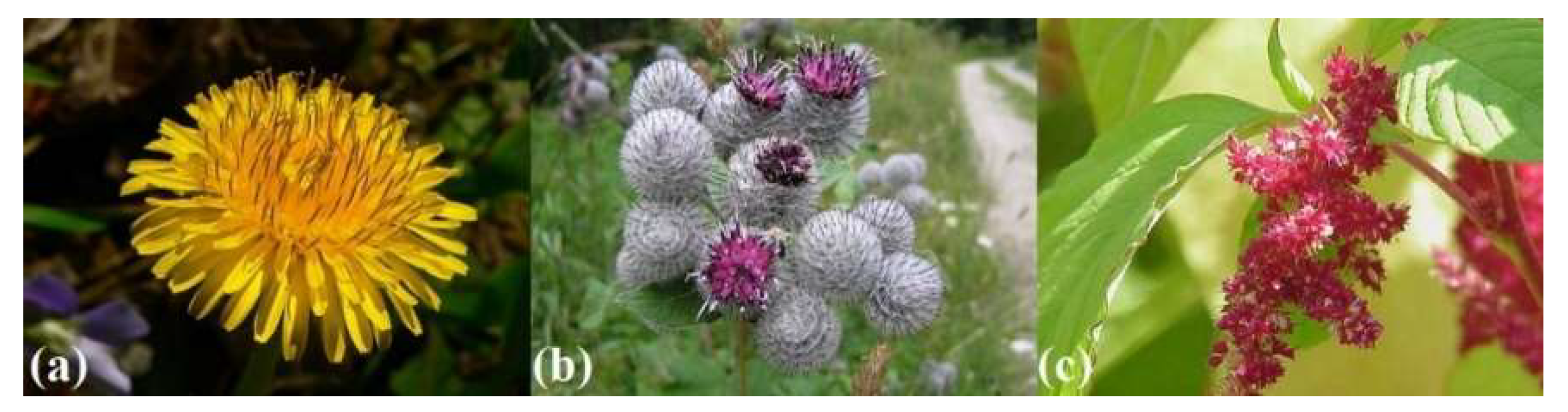 Drones 07 00427 g048