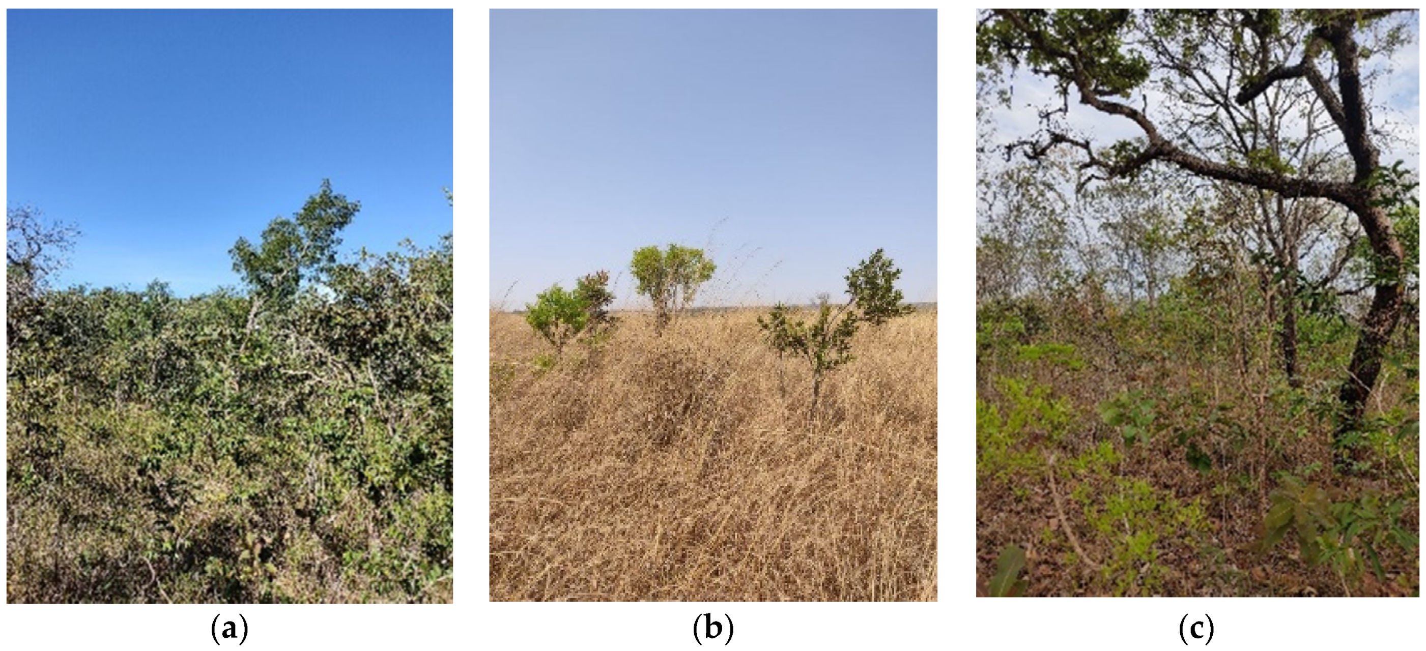 Drones 07 00493 g002 Drones 07 00493 g002