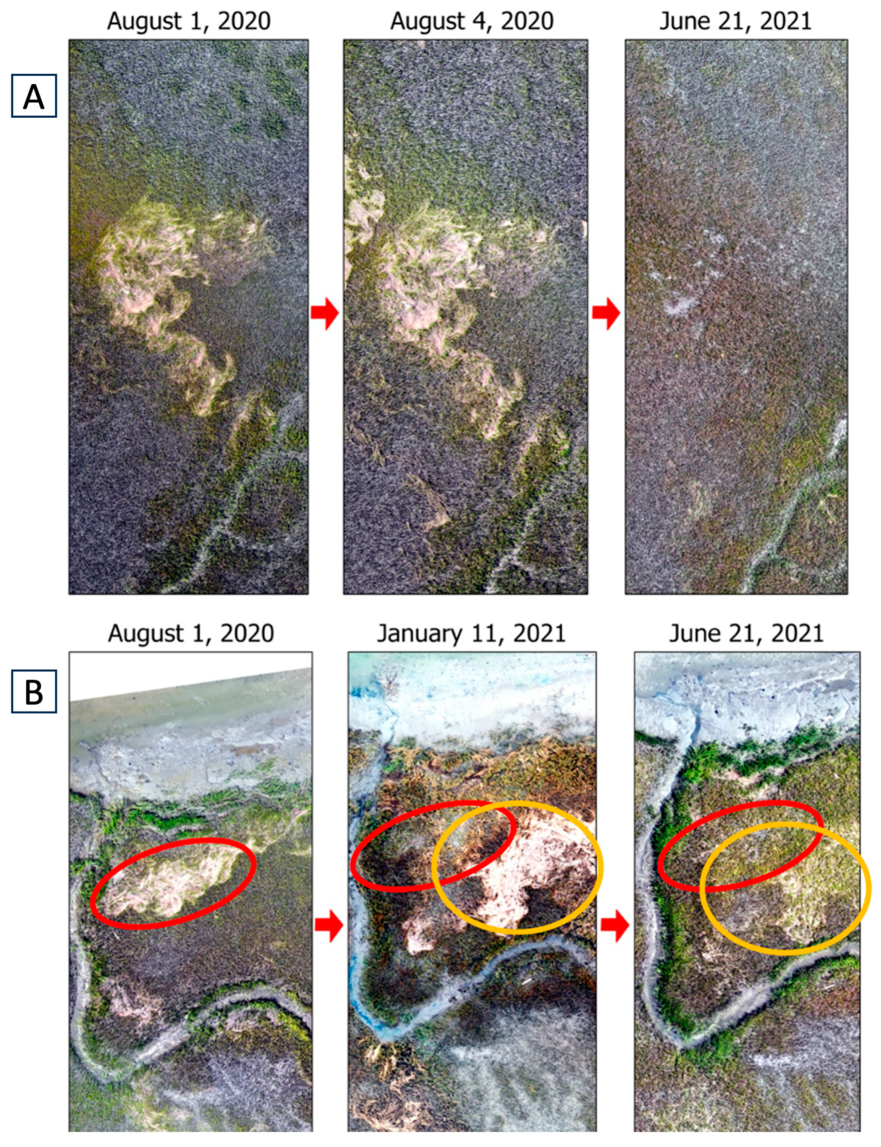 Drones 07 00535 g007