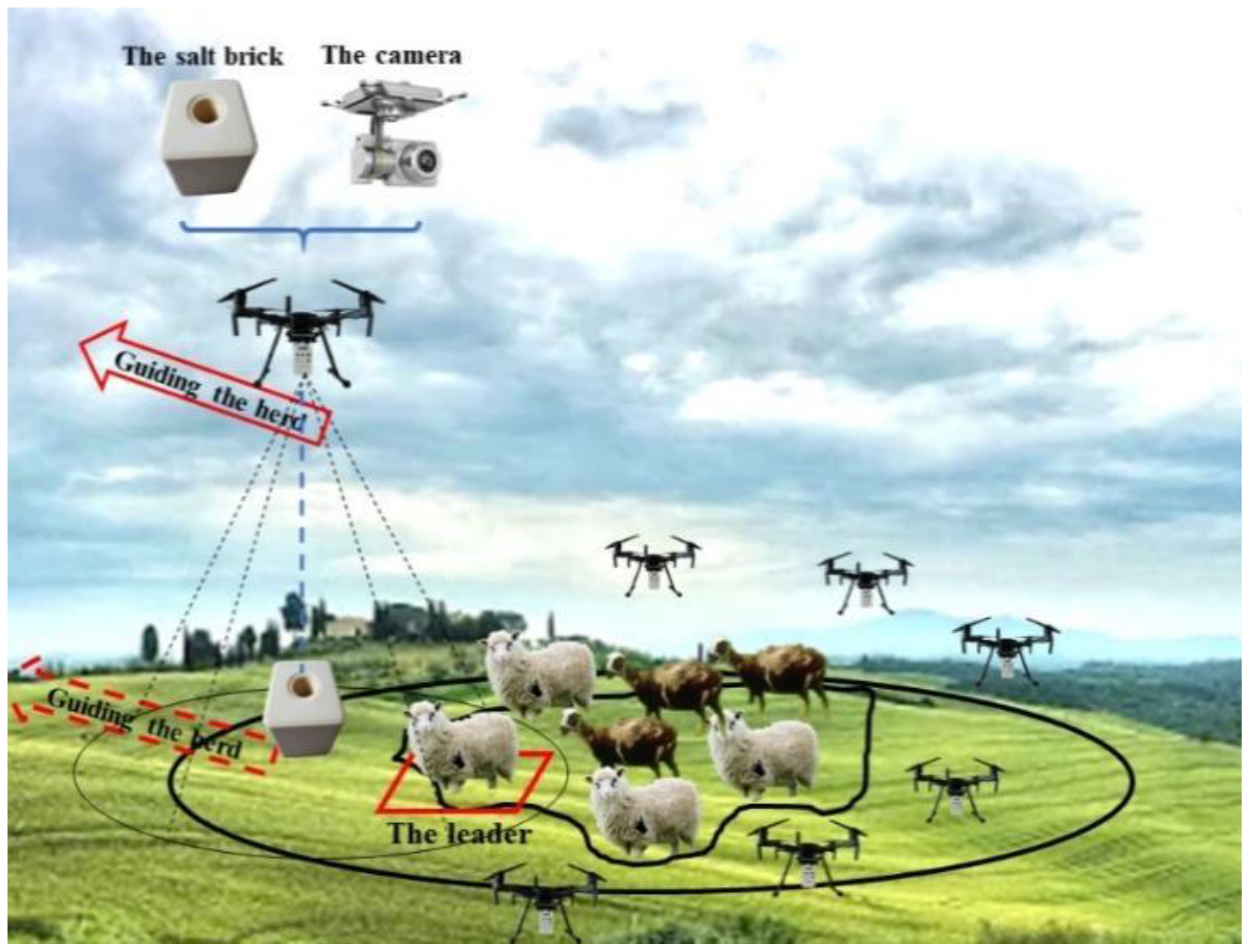 Drones 07 00542 g001