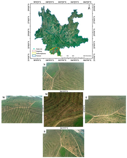Rubber Tree Recognition Based on UAV RGB Multi-Angle Imagery and Deep ...
