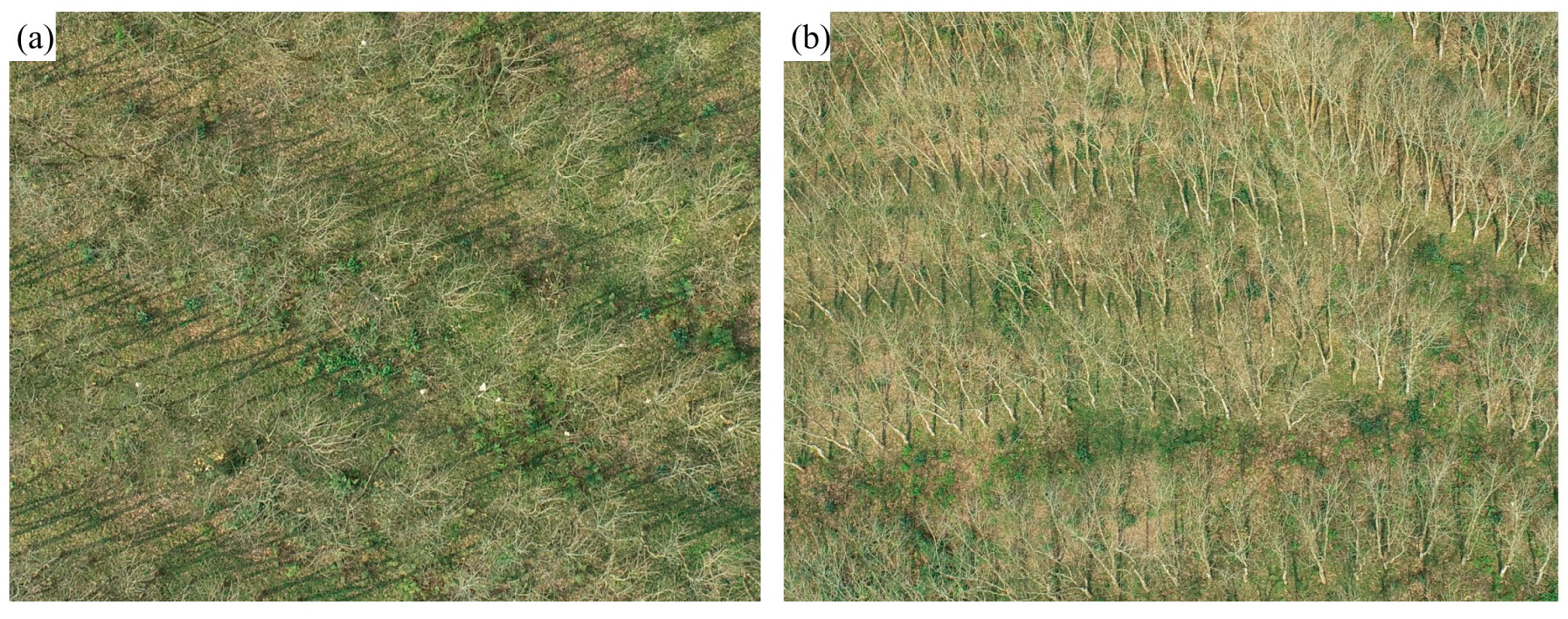 Drones 07 00547 g010