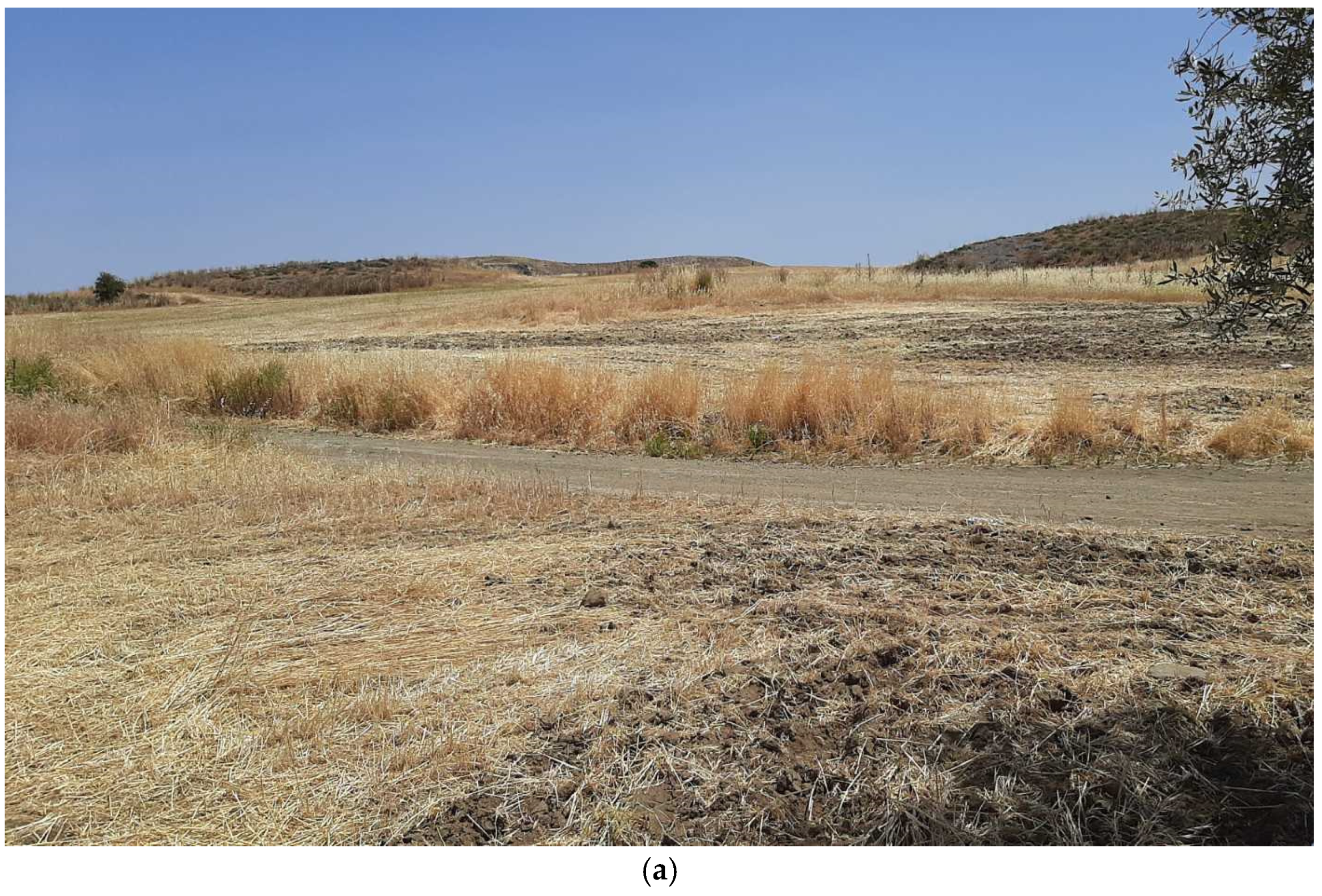 Drones 07 00578 g002a