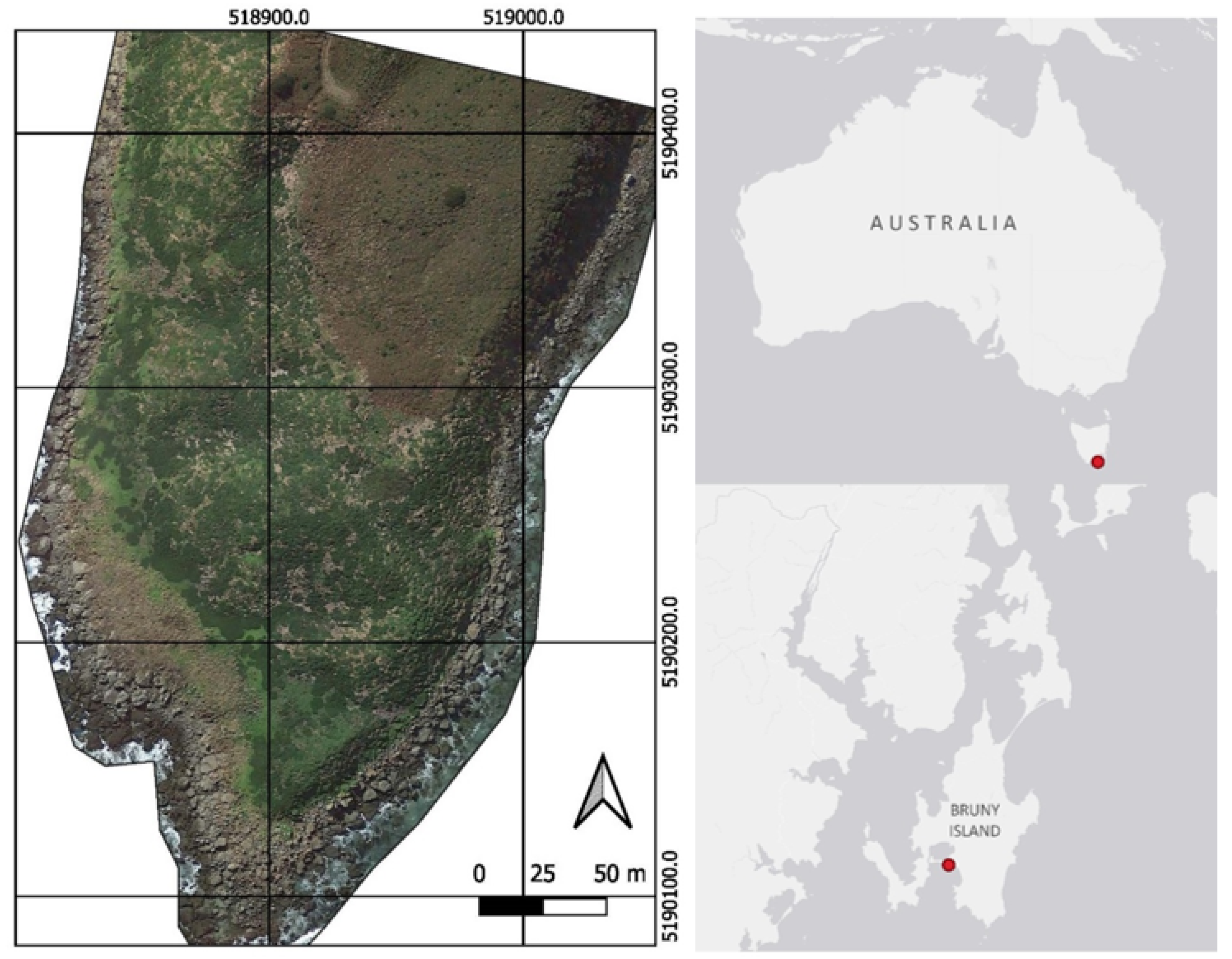 Polar Bear Dens Are Hard for Humans to See, but Drone-Mounted Radar Can  Help