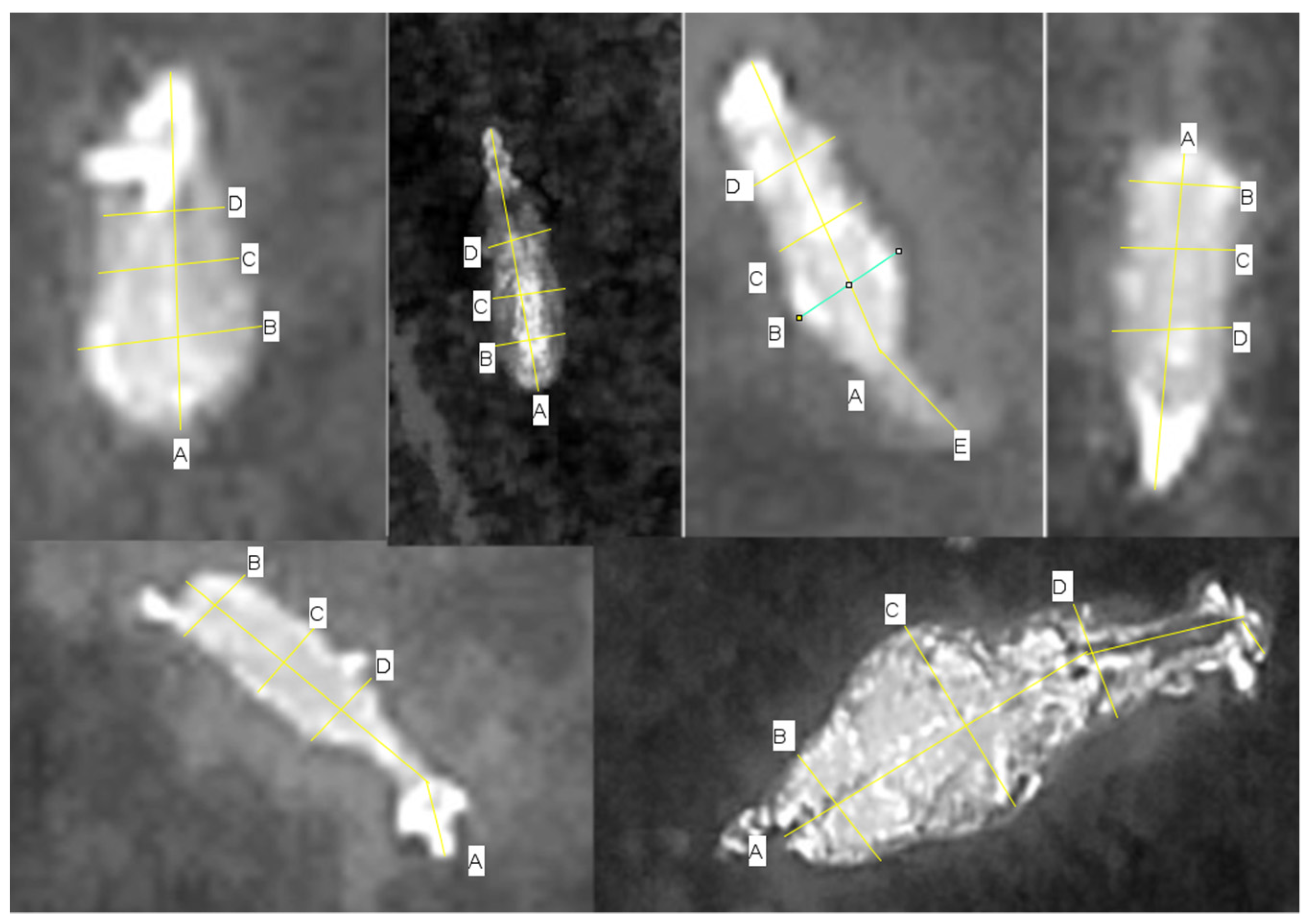 Drones 07 00680 g002