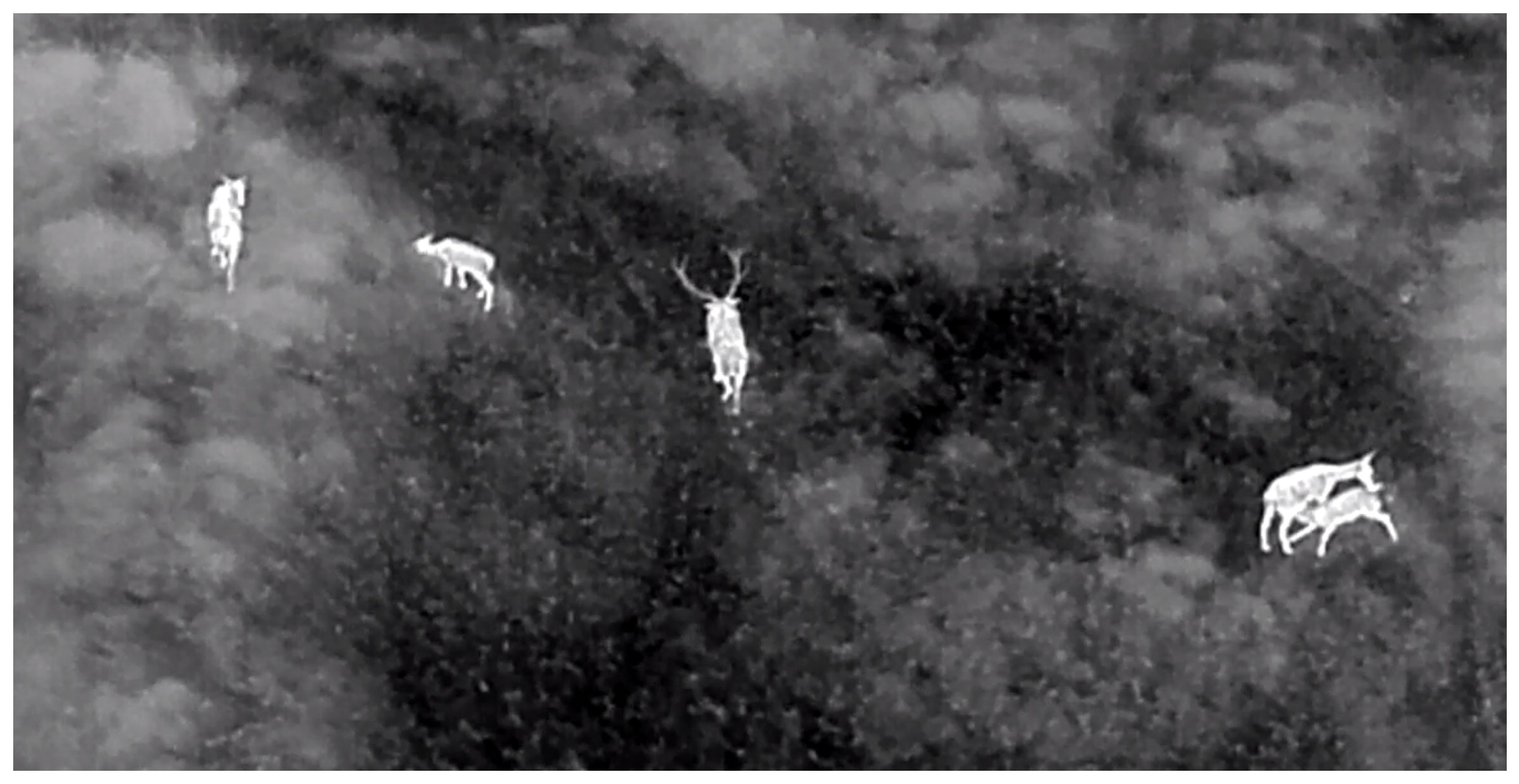 Drones 07 00680 g004