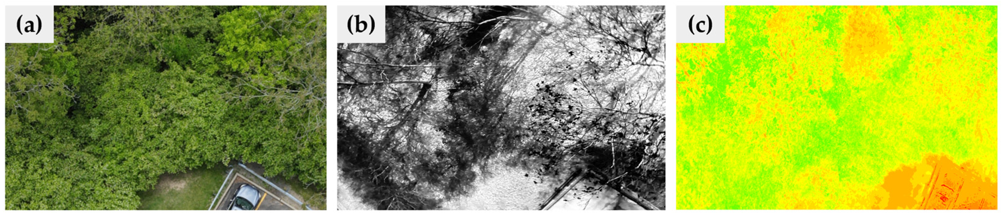 Drones 08 00001 g003 Drones 08 00001 g003