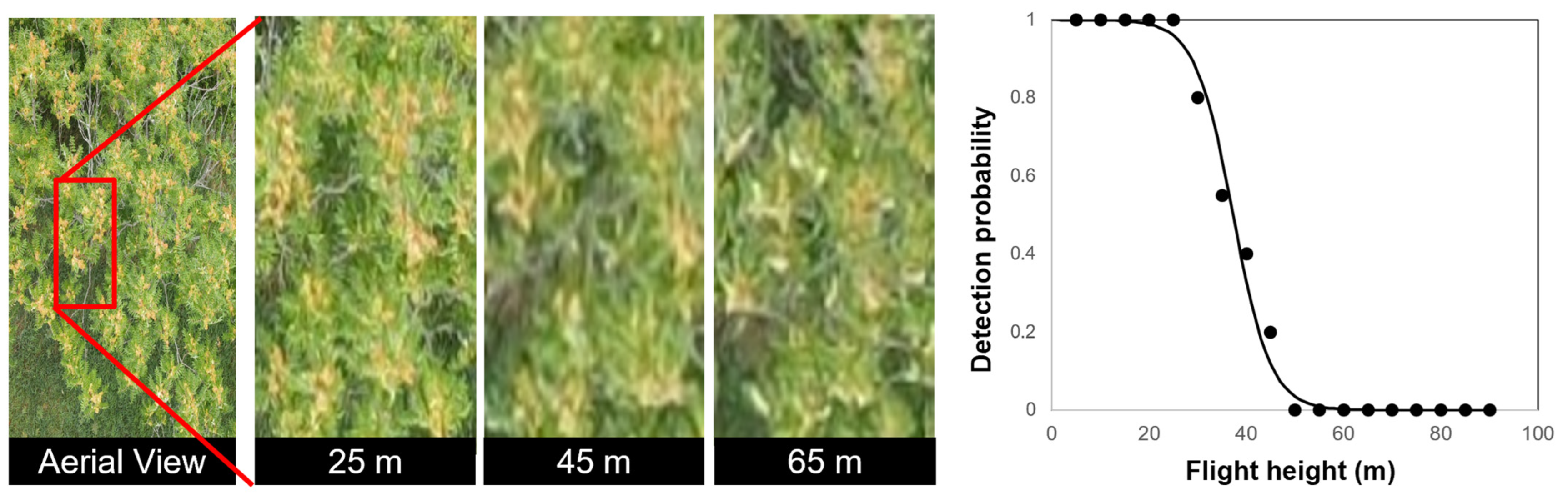 Drones 08 00001 g006 Drones 08 00001 g006