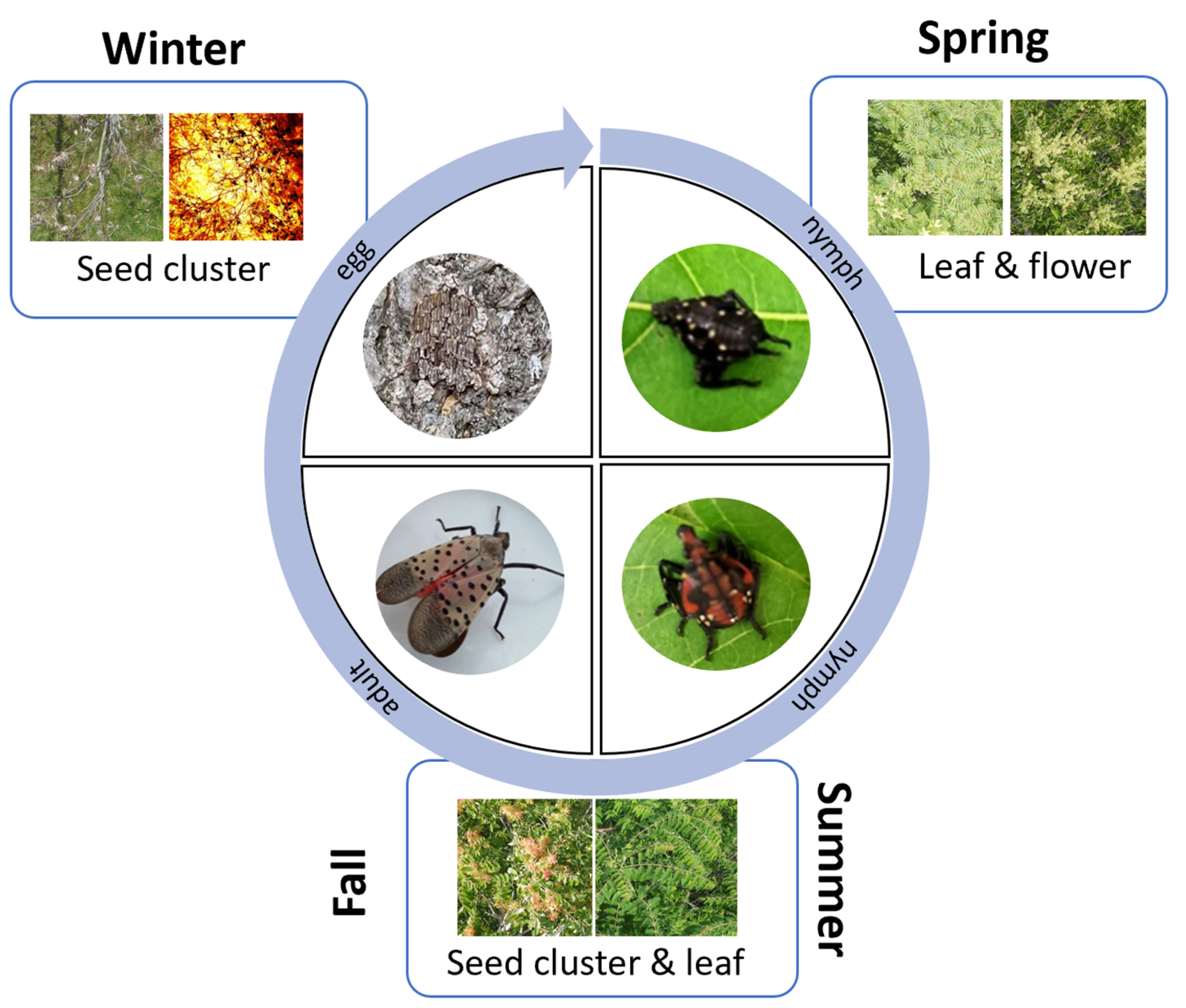 Drones 08 00001 g012 Drones 08 00001 g012