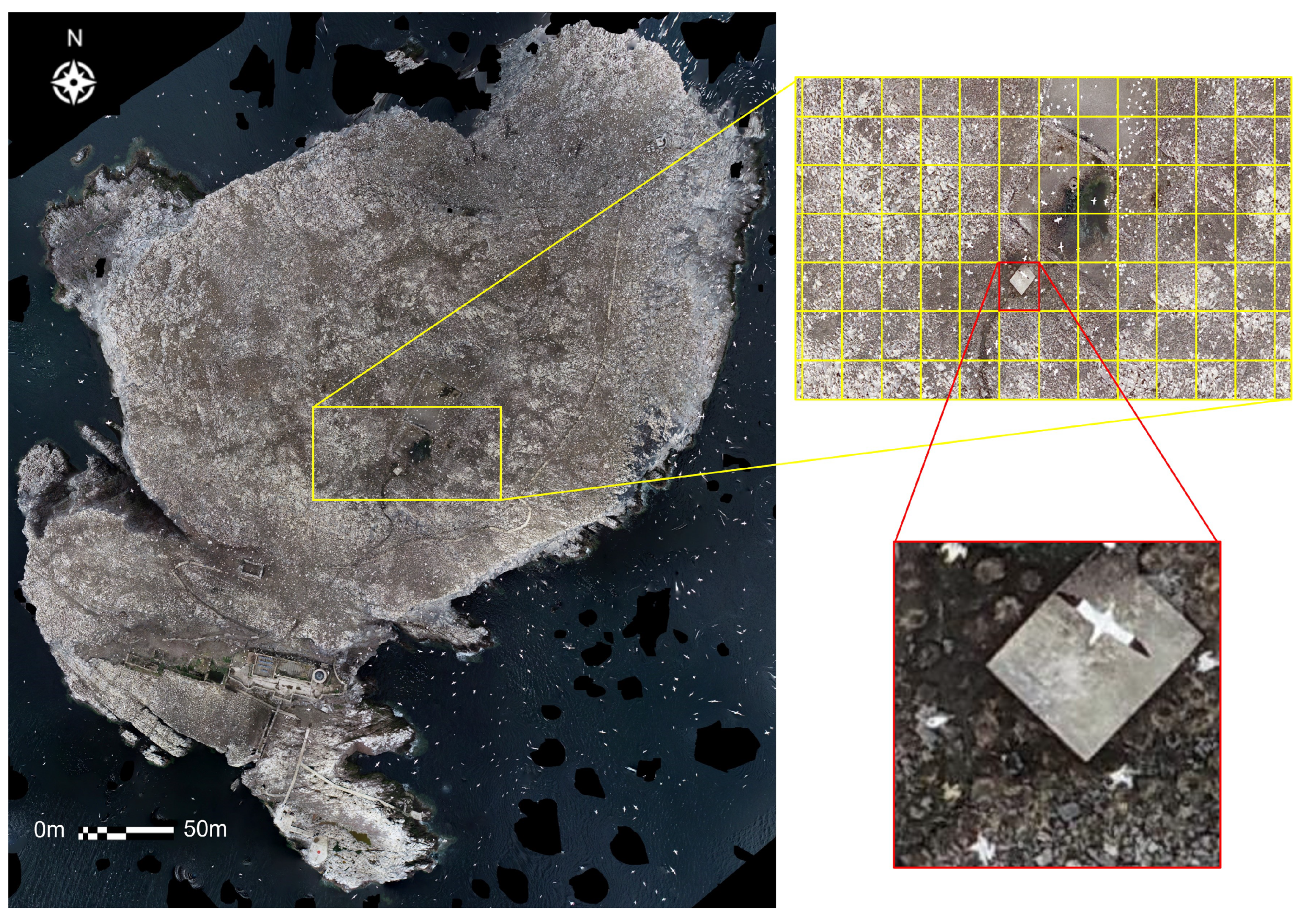 Drones 08 00040 g004