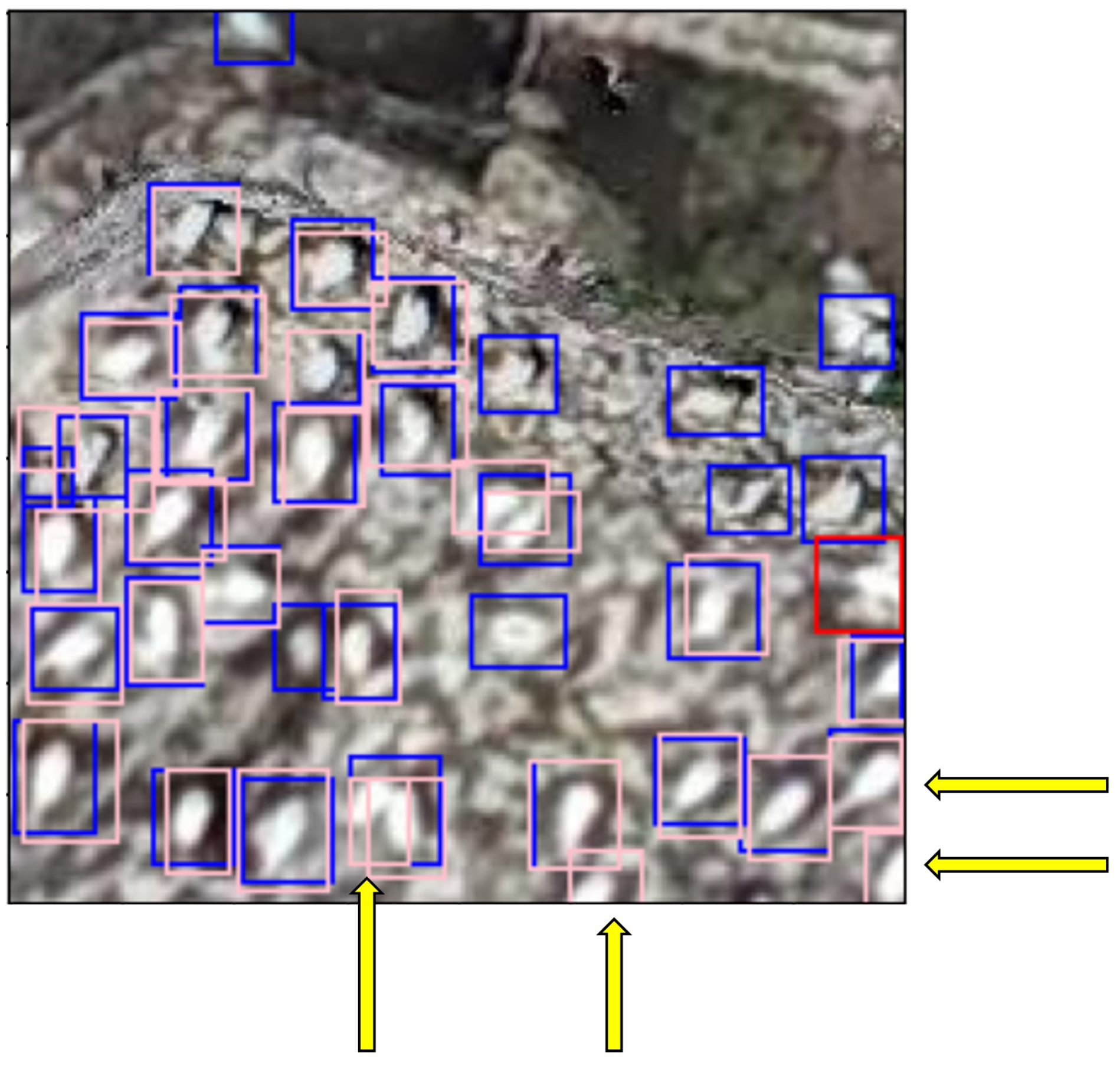 Drones 08 00040 g012