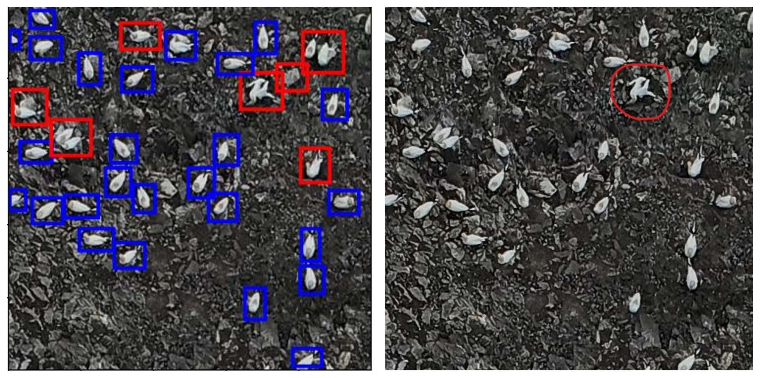 Drones 08 00040 g018