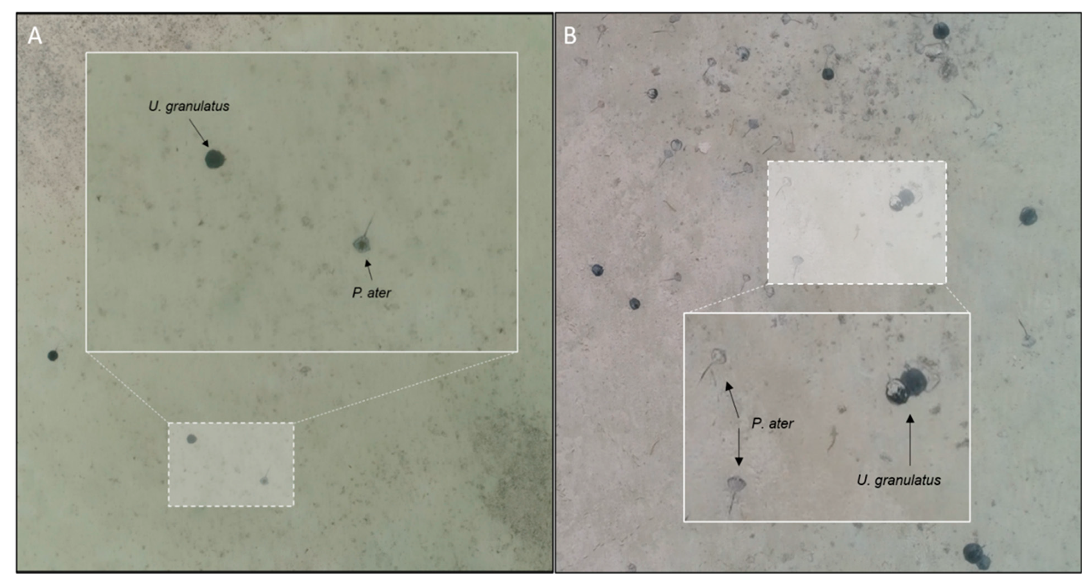 Drones 08 00048 g002 Drones 08 00048 g002