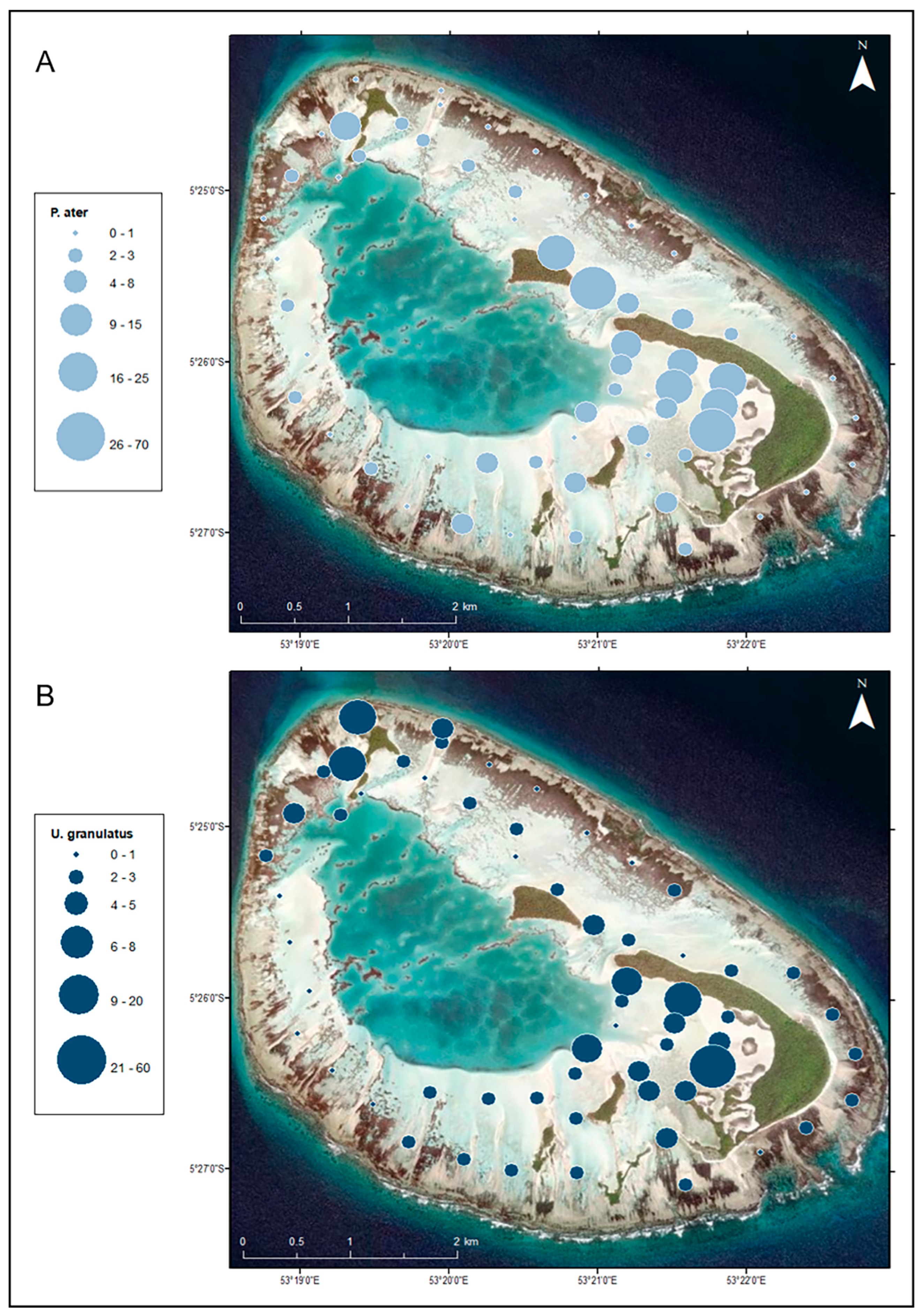Drones 08 00048 g005 Drones 08 00048 g005