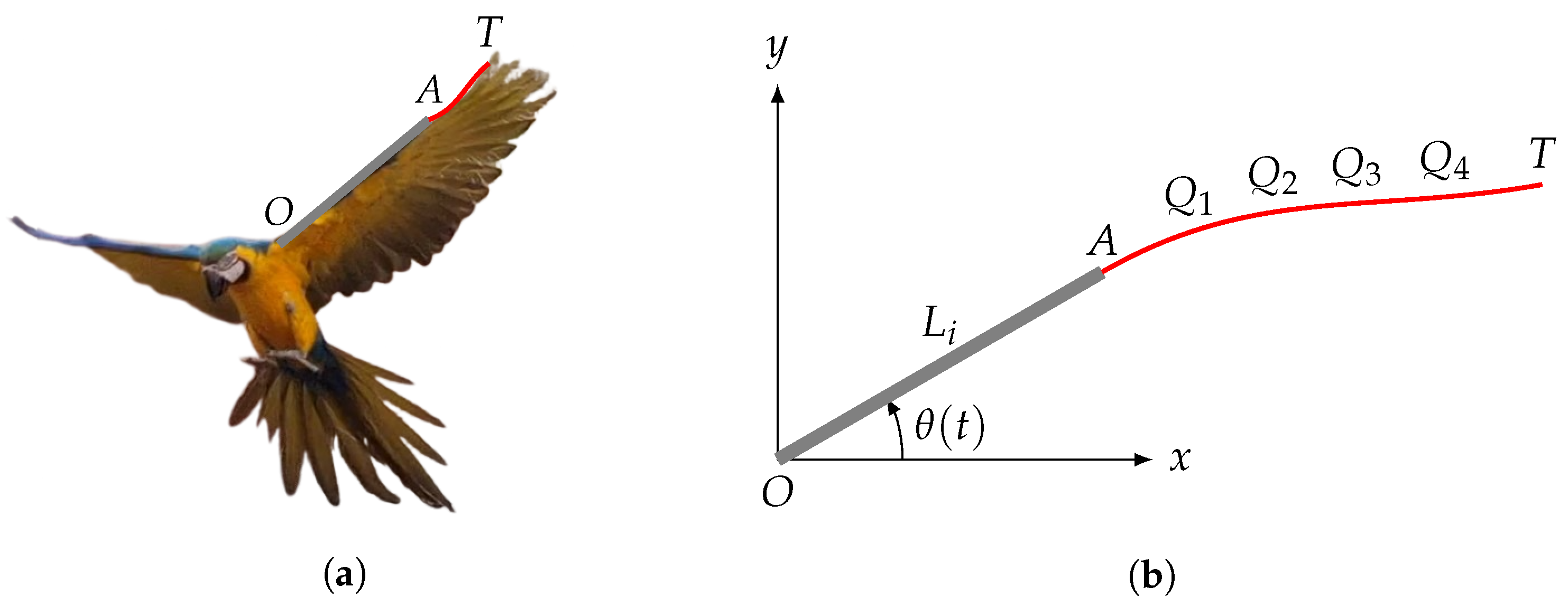 Drones 08 00056 g001