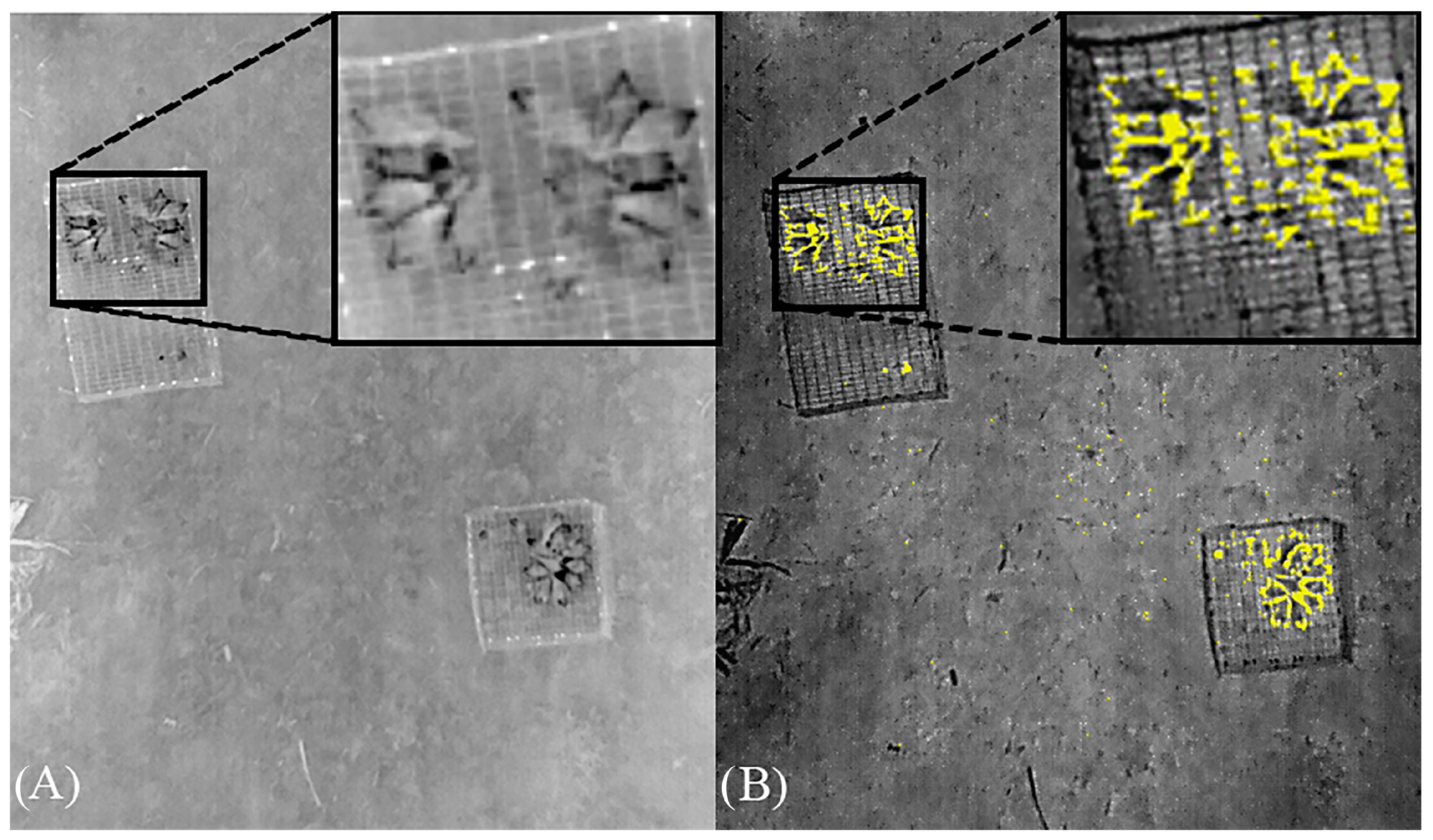 Drones 08 00064 g001